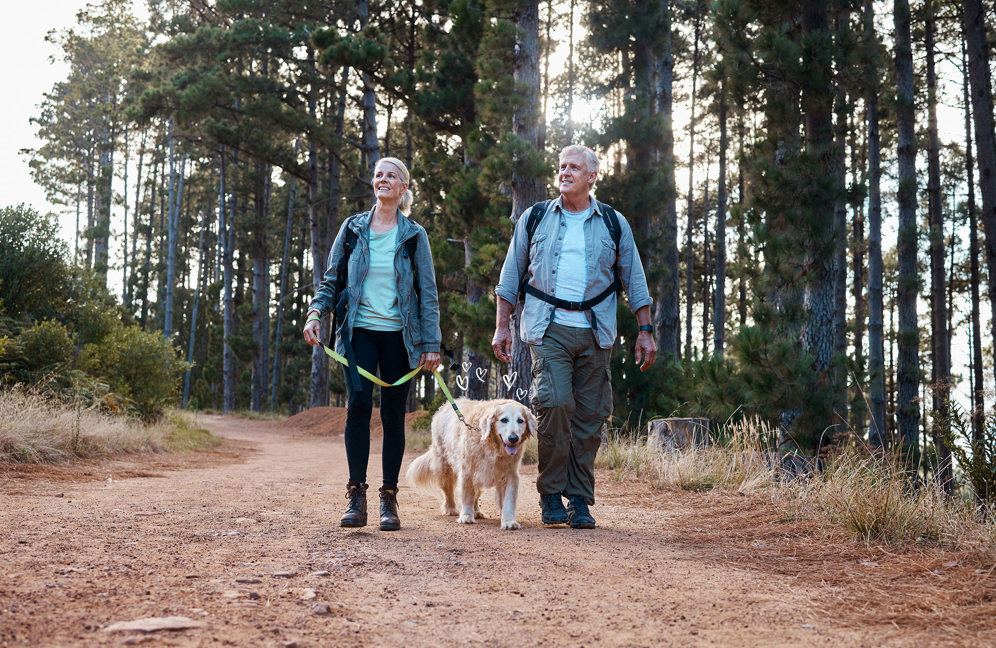 Paar spaziert im Wald mit ihrem Hund